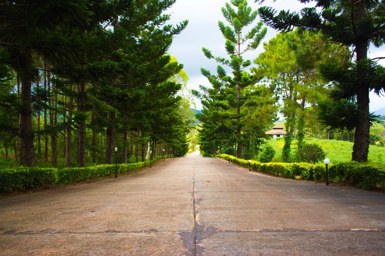 Bird Land Resort Khao Kho Luaran gambar