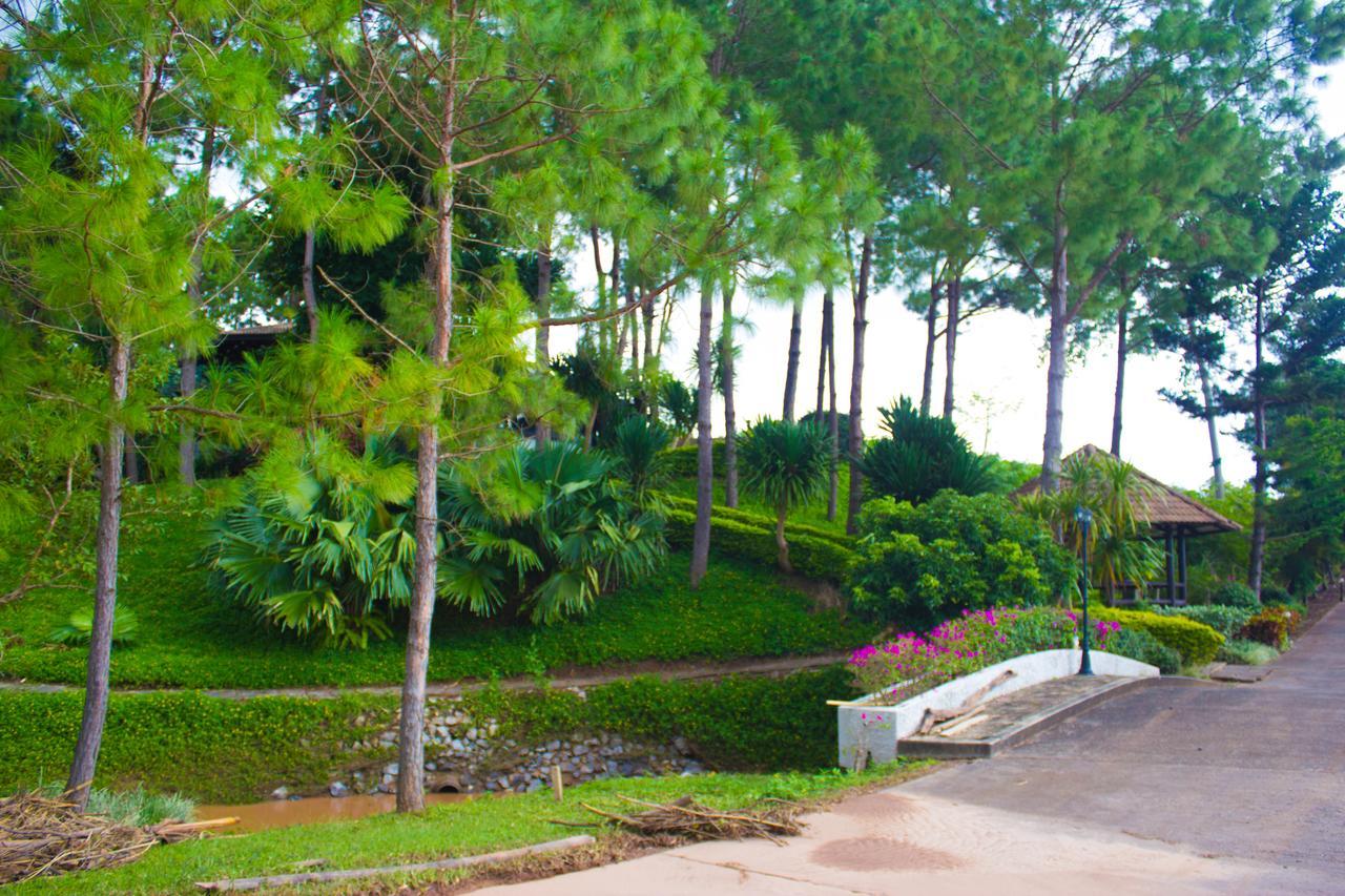 Bird Land Resort Khao Kho Luaran gambar