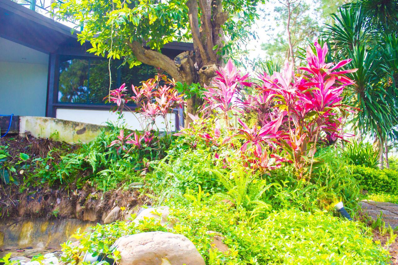 Bird Land Resort Khao Kho Luaran gambar