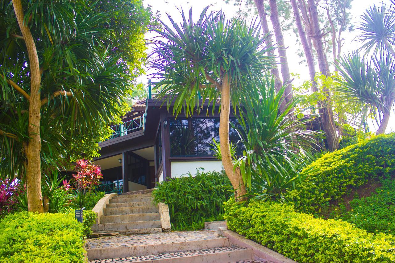 Bird Land Resort Khao Kho Luaran gambar