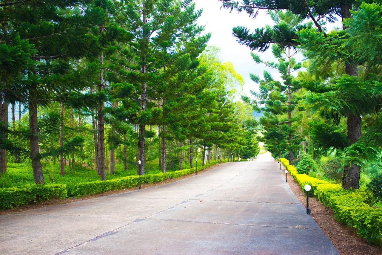 Bird Land Resort Khao Kho Luaran gambar