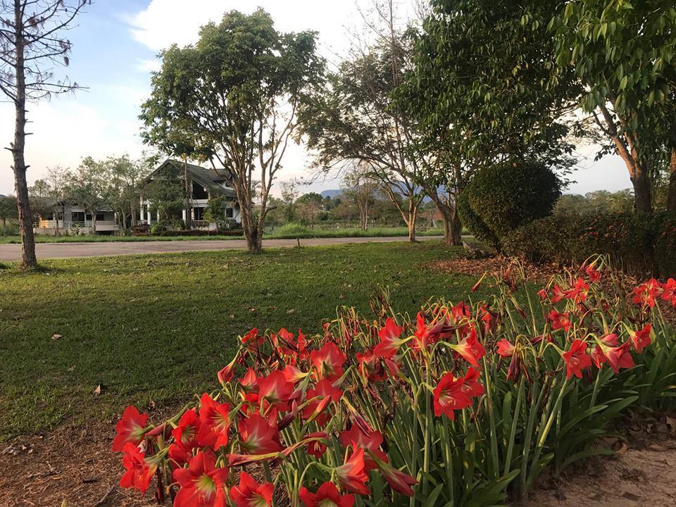 Bird Land Resort Khao Kho Luaran gambar