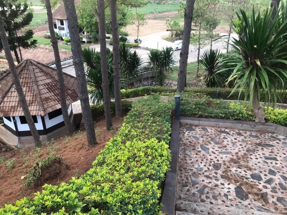 Bird Land Resort Khao Kho Luaran gambar